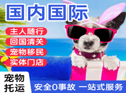 禄口航空物流国际宠物托运 【国